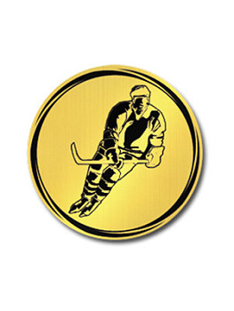 Вкладыш в медаль/ приз/ кубок - VK381/382-75