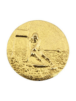 Вкладыш в медаль/ приз/ кубок - IN#A11-108Z